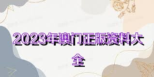 2025澳门天天正版资料+创意版56.264_方案细化和落实