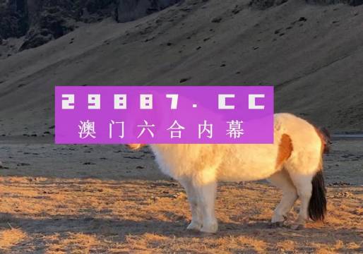 2025澳门天天六开彩开码+探索版19.567_精密解答