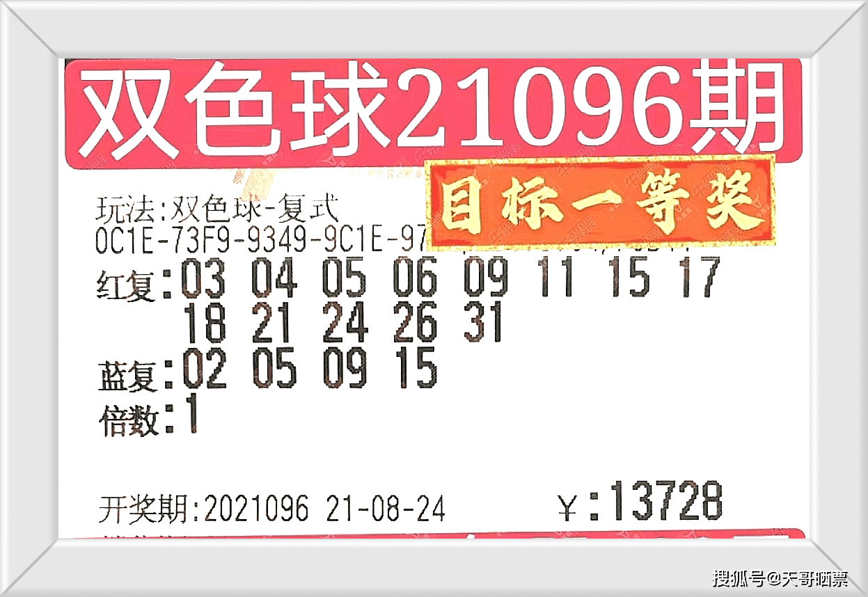 2025年澳门特马今晚开码+tShop54.874_细化落实