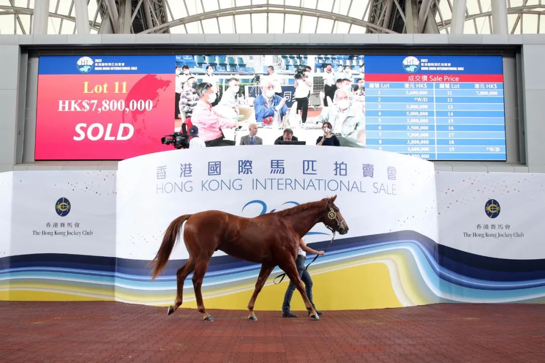 香港马买马网站www+HD77.886_反馈内容和总结