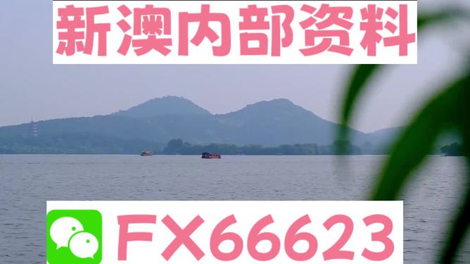 新澳2025年最新版资料+苹果61.353_落实执行