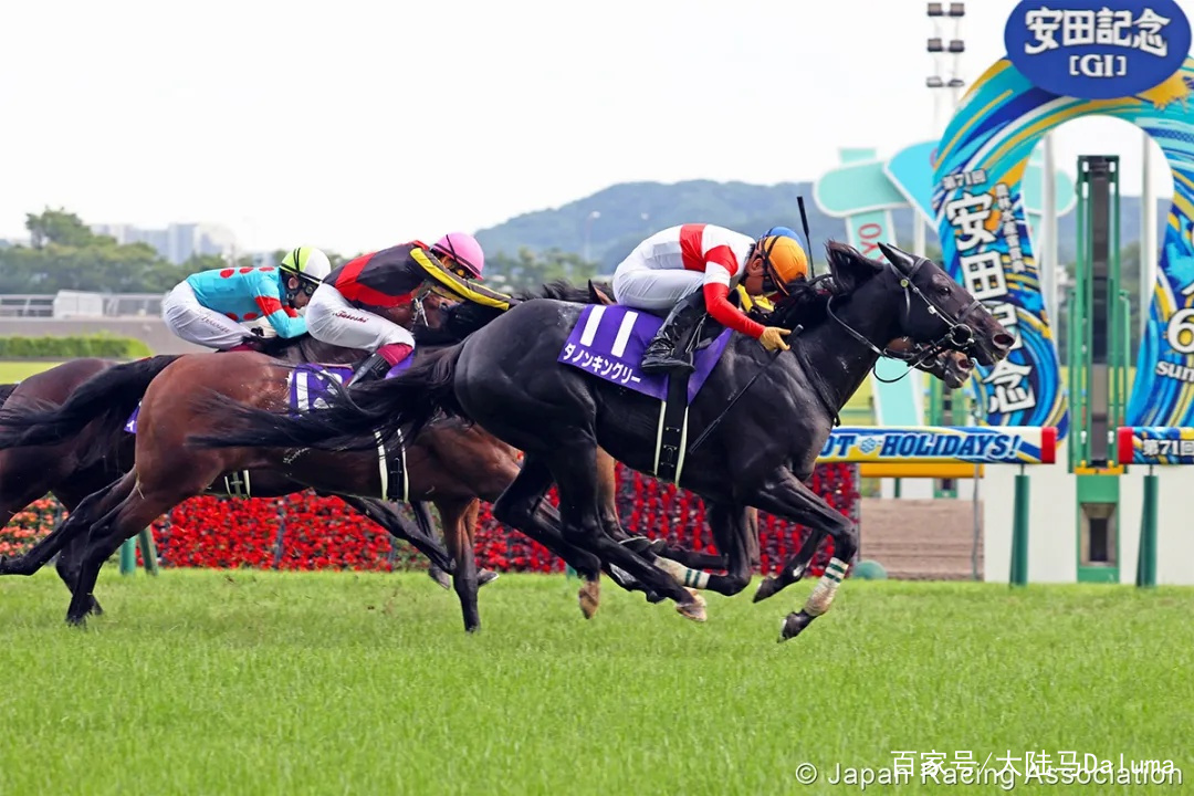 香港特马资料王中王+Executive184.903_反馈实施和计划