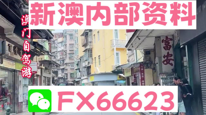 新澳精准资料免费提供4949期+挑战款79.311_精选解释落实