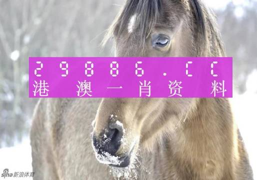 澳门平特一肖100%准确吗+VE版41.504_反馈调整和优化