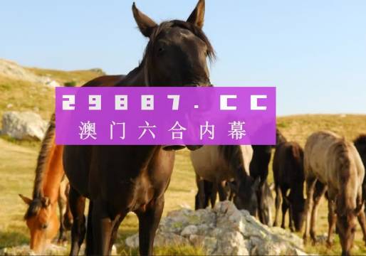 澳门管家婆一肖一码一中一+精英版201.124_反馈执行和跟进