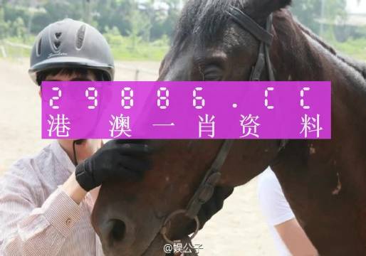 今晚澳门精准一肖一马+VIP28.623_细化方案和措施