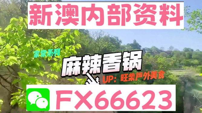 新澳精准资料免费提供+Essential79.568_全面解释落实