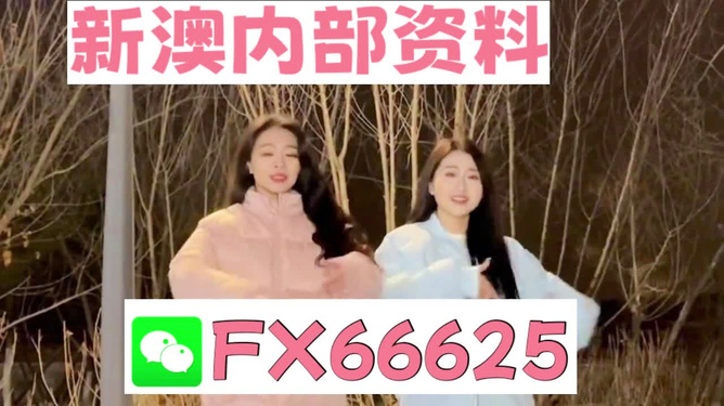 管家婆一码一肖100%+SHD32.959_反馈目标和标准